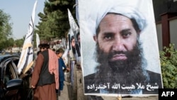 د طالبانو مشر ملاهبتالله اخندزاده ته منسوب عکس