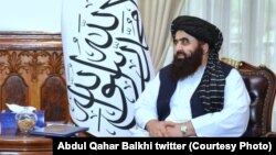 د طالبانو د حکومت د بهرنیو چارو وزارت سرپرست، امیرخان متقي