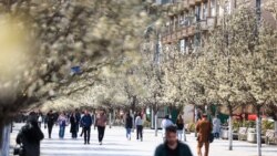 Regjistrimi i popullsisë: Gjërat që duhet t’i dini