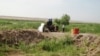 Район Рухубелент Дашогузской области Туркменистана (иллюстративное фото) 