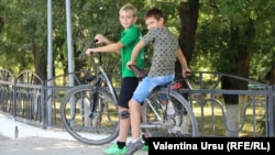 Sălcuța, Căușeni, 2019