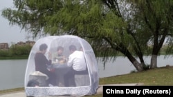 La iarbă verde într-un parct Nanjing, provincia Jiangsu , China, 24 martie 2020.