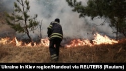 Рятувальники гасять осередки тління у зоні відчуження
