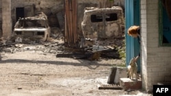 Иллюстративное фото. Луганская область, октябрь 2014 года