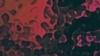 16x9 Image