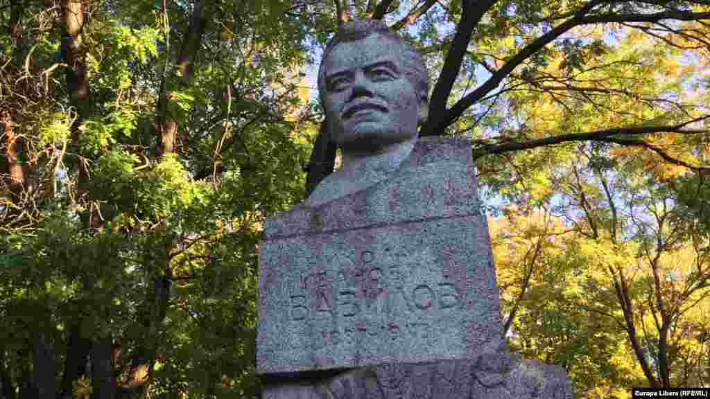 Памятник академику Николаю Вавилову 
