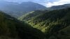 Dosarul a vizat retrocedarea a peste 43.000 de hectare de pădure în judeţul Bacău, în baza unor decizii ilegale ale unor judecători, cu implicarea unor parlamentari, pentru obţinerea ilegală a unor sume mari de bani.