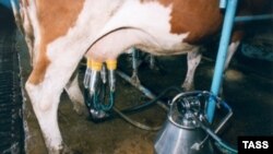 Деятельность компании «Вилия», продукцию которой употребляли пострадавшие, приостановлена на 30 суток