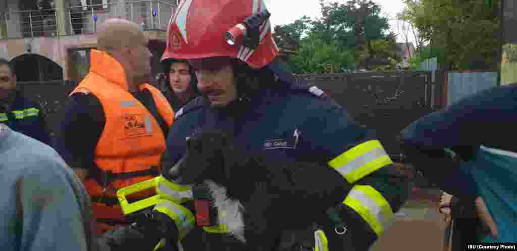 Un pompier salvează un animal de companie. Inundațiile din noaptea de 13 spre 14 septembrie au afectat cel mai mult județele Galați și Vaslui. 