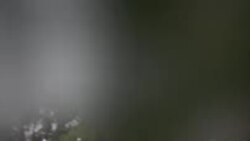 په اوکراین کې د خبریالانو لپاره د کار ستونزمن شرایط