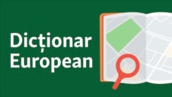 Dicţionar european: cu Dan Alexe şi Liliana Barbăroşie