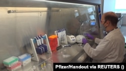 Vaksina Pfizer 
