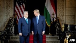 دونالد ترامپ، رئیس‌جمهور منتخب ایالات متحده (سمت راست) و ویکتور اوربان، نخست‌وزیر مجارستان